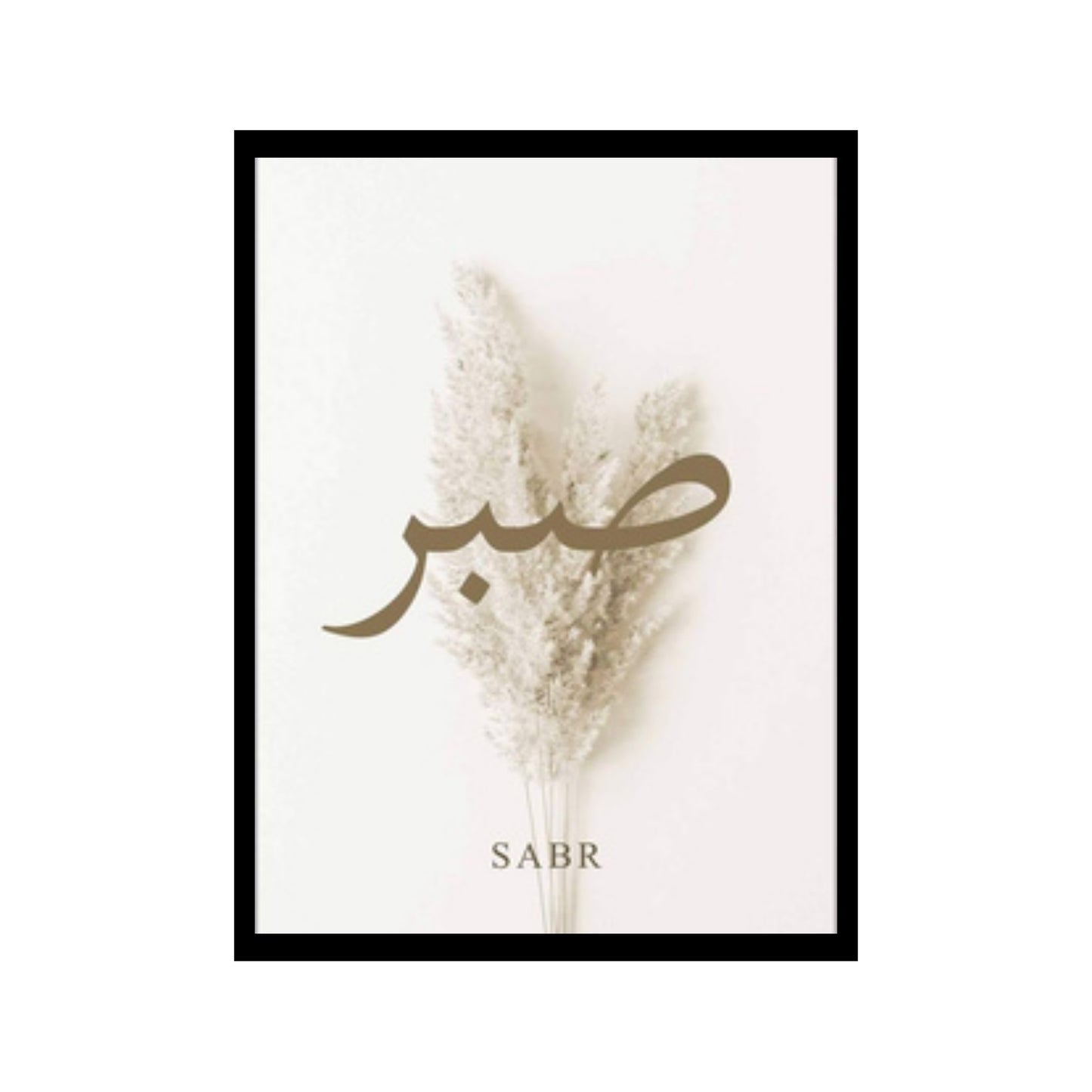 sabr