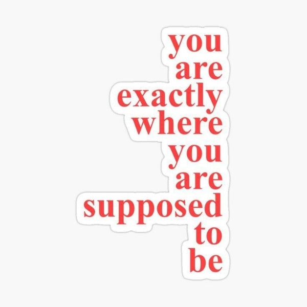 you are exactly where you are supposed to be