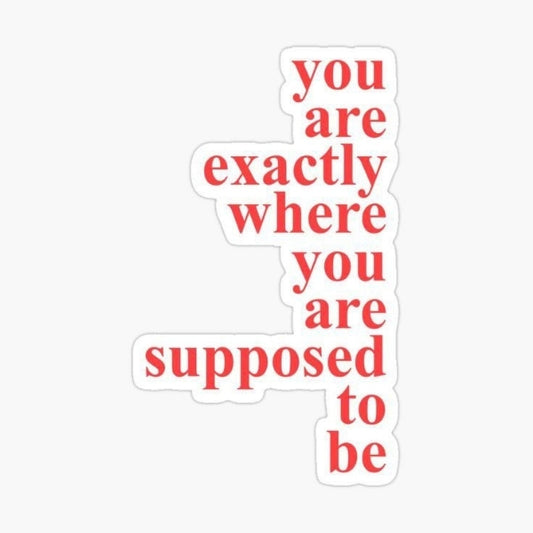you are exactly where you are supposed to be